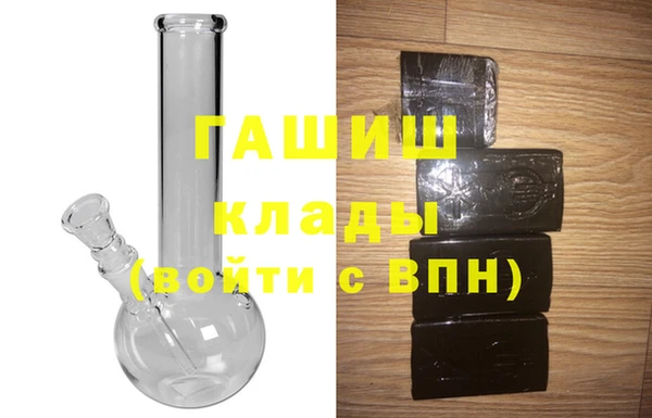 гидра Каменка