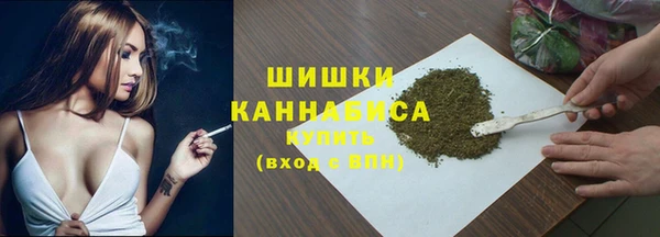 молекула духа Каменногорск