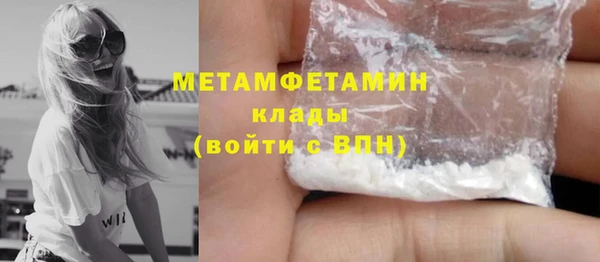 гидра Каменка