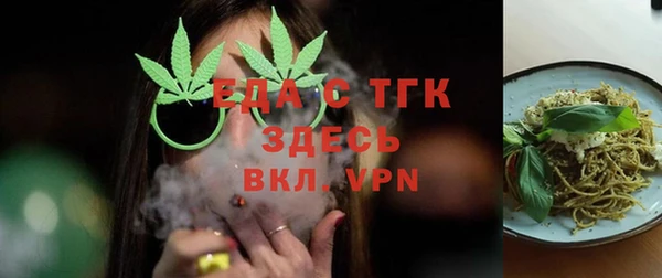 гидра Каменка