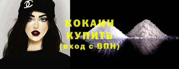 молекула духа Каменногорск