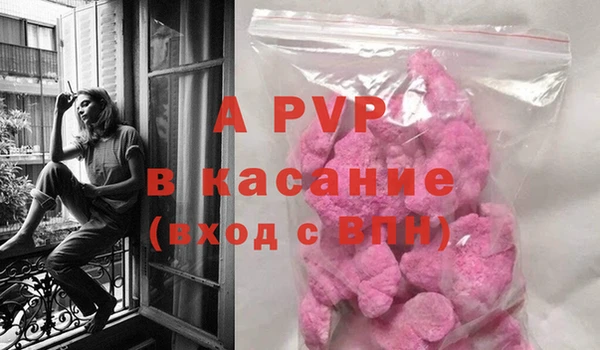 гидра Каменка