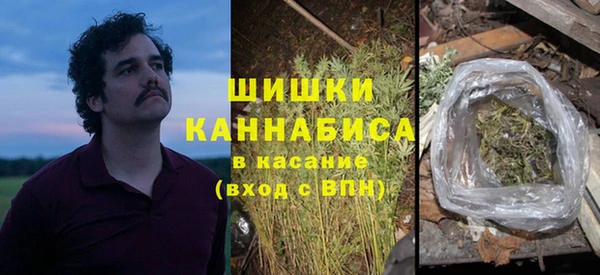молекула духа Каменногорск