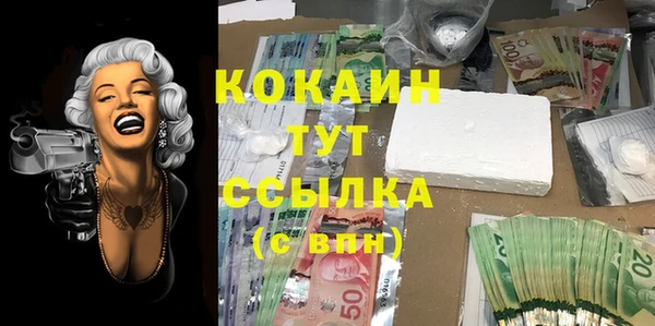 молекула духа Каменногорск