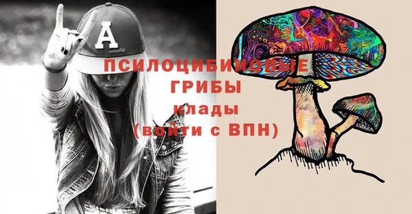 молекула духа Каменногорск