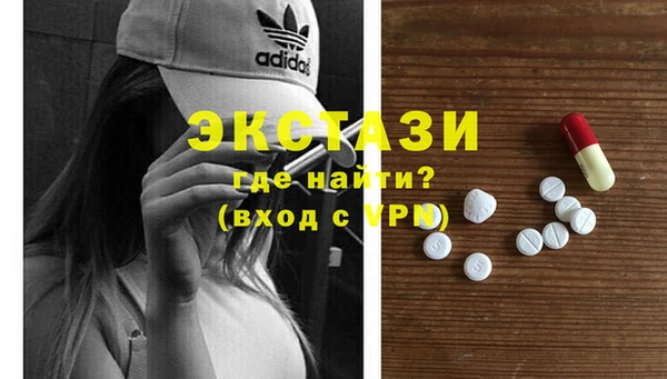 гидра Каменка