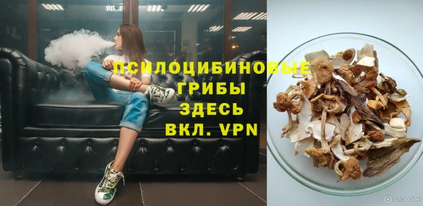 молекула духа Каменногорск