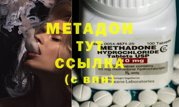 гидра Каменка