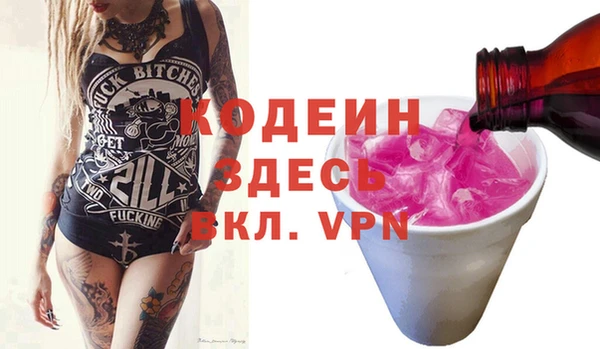 гидра Каменка