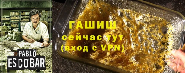 гидра Каменка