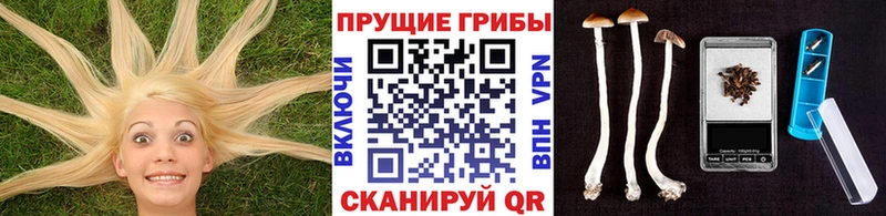 Галлюциногенные грибы GOLDEN TEACHER Кола